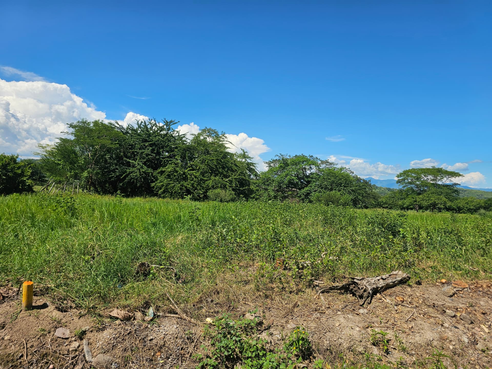 Proyecto Proyecto El Copinolito en Caserío El Copinolito, Tejutla, Chalatenango